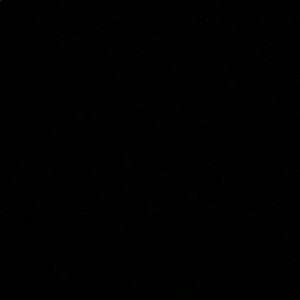 Meet your Posher, Darcy